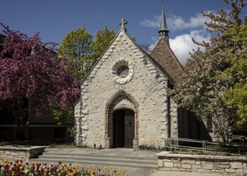 Making Sense of International Credentials: How WES.org Ensures Educational Equivalency