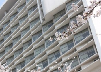 Expand Your Mind, Expand Your World: The Power of Study Abroad