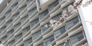 Expand Your Mind, Expand Your World: The Power of Study Abroad