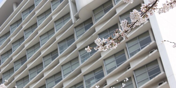 Expand Your Mind, Expand Your World: The Power of Study Abroad