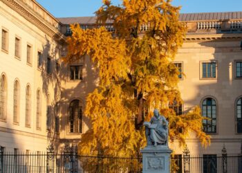 Bar Council of India’s Efforts to Promote Diversity and Inclusion in the Legal Field