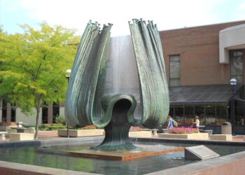 NAAC Accreditation in Action: Success Stories from Accredited Institutions