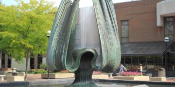 NAAC Accreditation in Action: Success Stories from Accredited Institutions