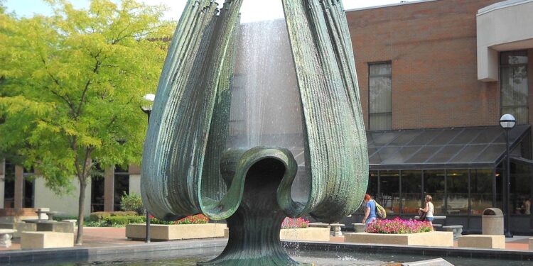 NAAC Accreditation in Action: Success Stories from Accredited Institutions