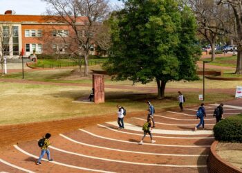 Top Management Schools Excel in NIRF Rankings: List Unveiled