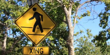 The Rise of Third Party Verification: An Essential Tool for Transparent Transactions